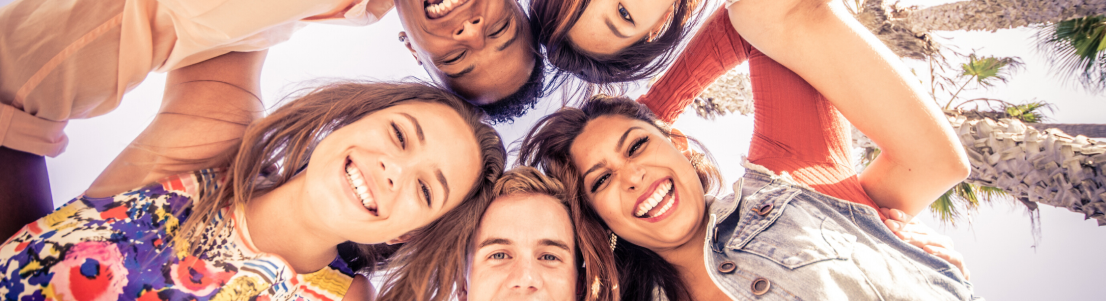 Organizaciones Organizaciones