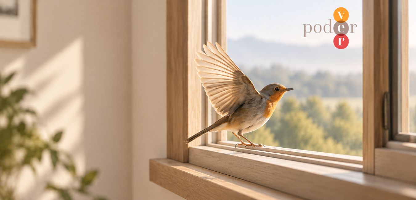 Pájaro a punto de volar desde una ventana abierta
